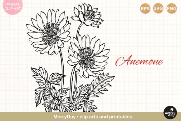 Anemone Flower Line Art: A Delicate Embroidery Design for Sophisticated Projects