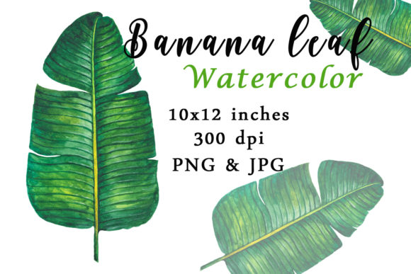 Banana Leaf Watercolor Sublimation PNG Review: Real-World Embroidery Use
