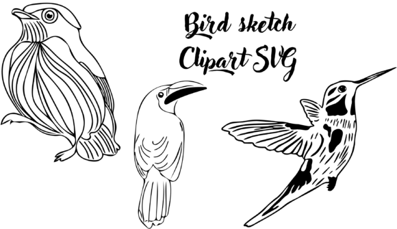 Bird Sketch Clipart SVG Review for Real Embroidery Projects