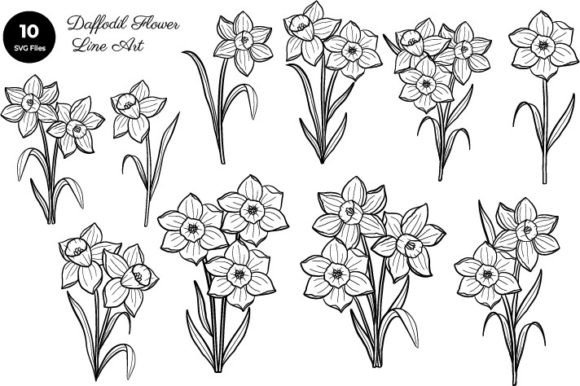 Daffodil Flower Line Art SVG Set Review for Real Embroidery Projects