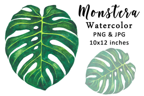 Monstera Watercolor Sublimation PNG Review for Embroidery Projects