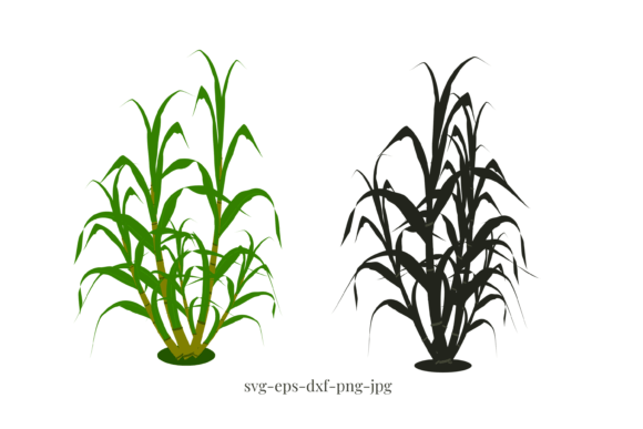 Reeds Plant Embroidery Design Review: A Silhouette with Soul