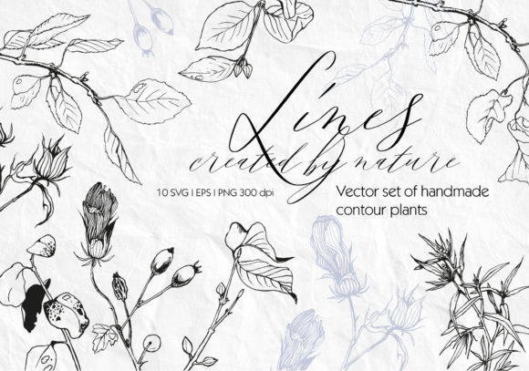 Set of Linear Plants Vector and SVG