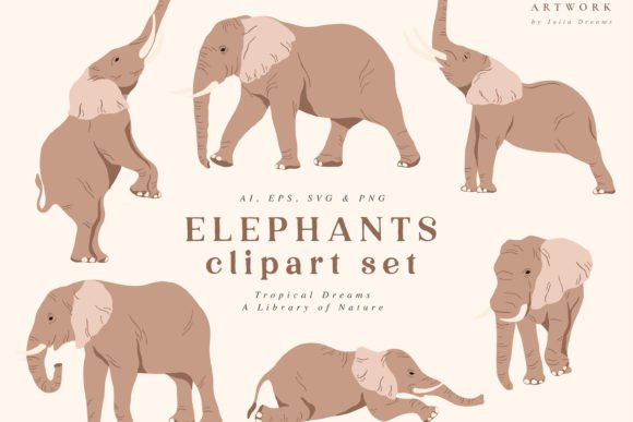 Tropical Dreams Elephants Animals: A Designer’s Real-World Evaluation