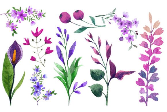 Watercolor Flower Elements Set Review for Real Projects
